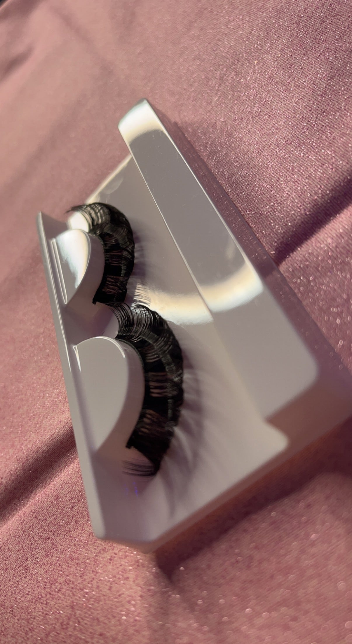 Dolled Up Lash