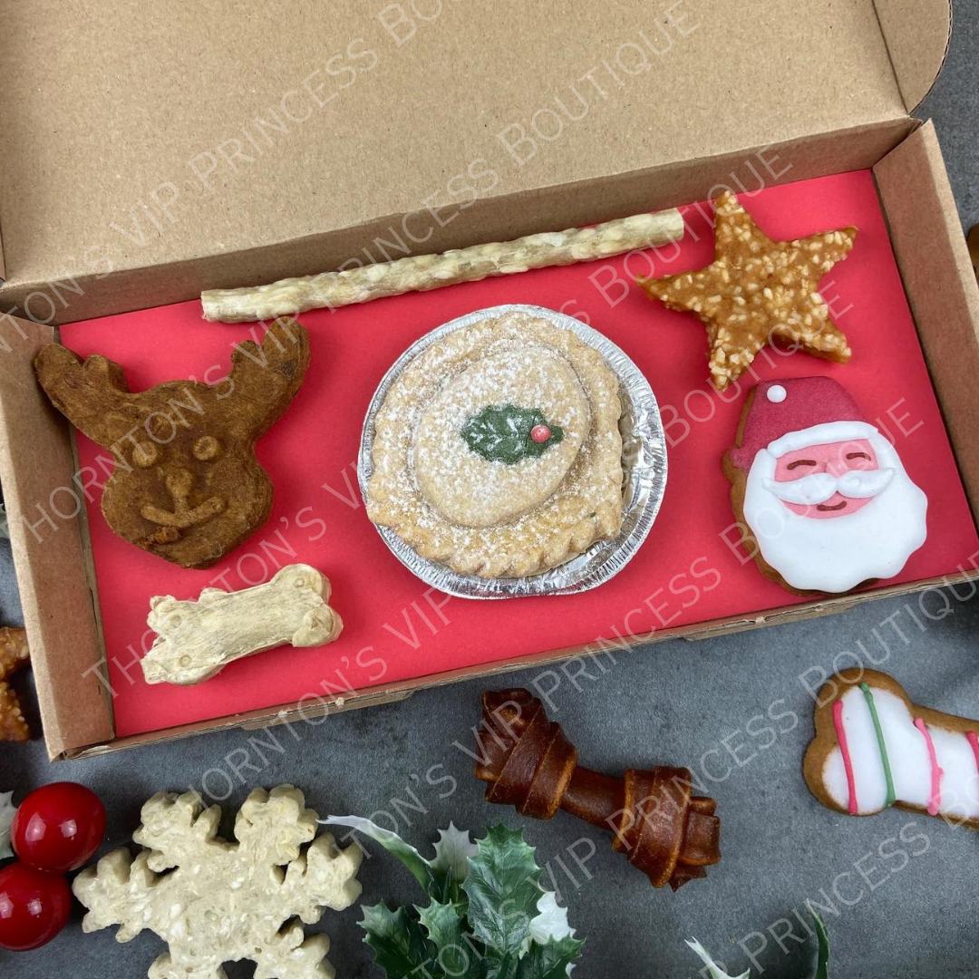 Christmas Dog Treats - Special Delivery From Santa Paws!