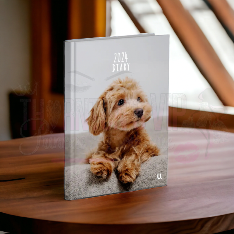 Whiskers & Paws 2024 Diary Collection - Three Different Styles