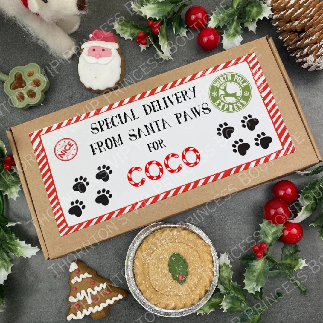 Christmas Dog Treats - Special Delivery From Santa Paws!