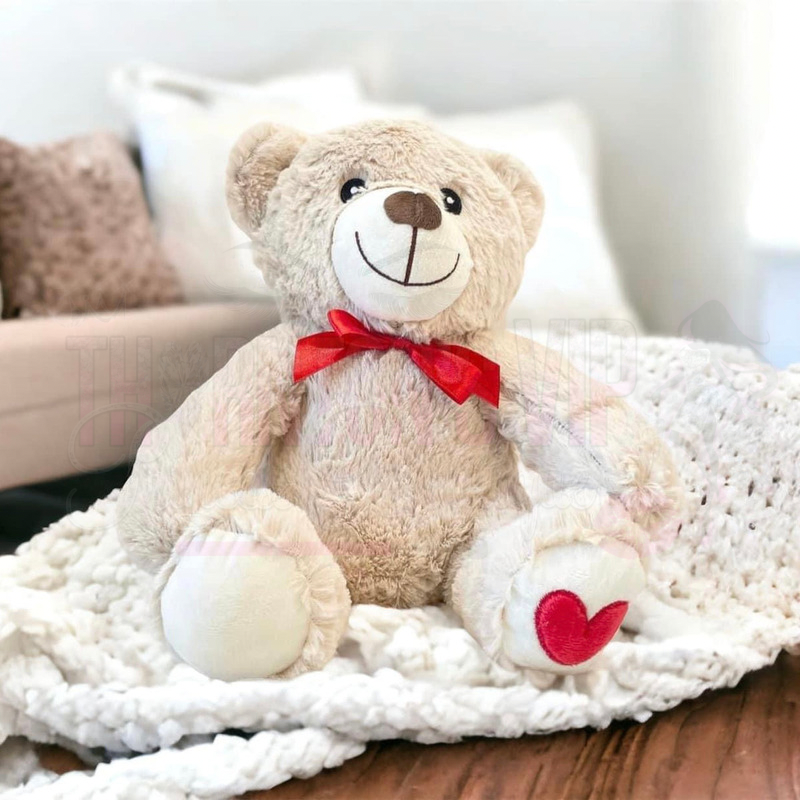 Valentines Teddy Bear