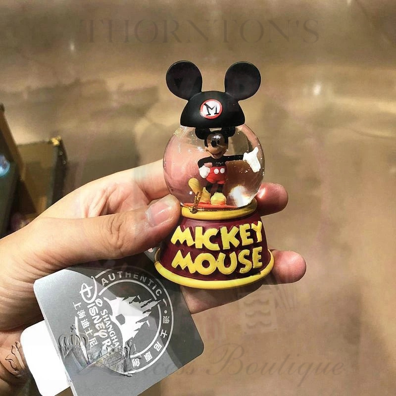 Disney Inspired Snow Globes