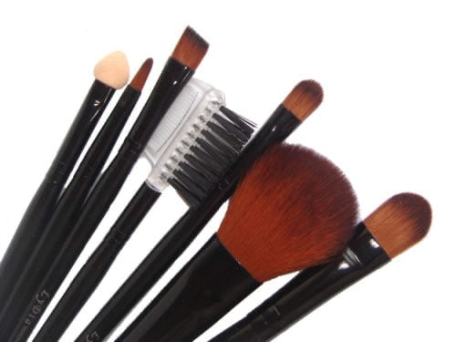 LyDia 7pcs Brown/Choc Makeup Brush Set with Case