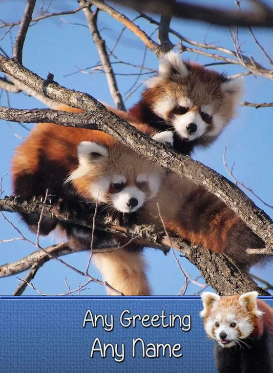 Personalised Red Panda Greeting Card