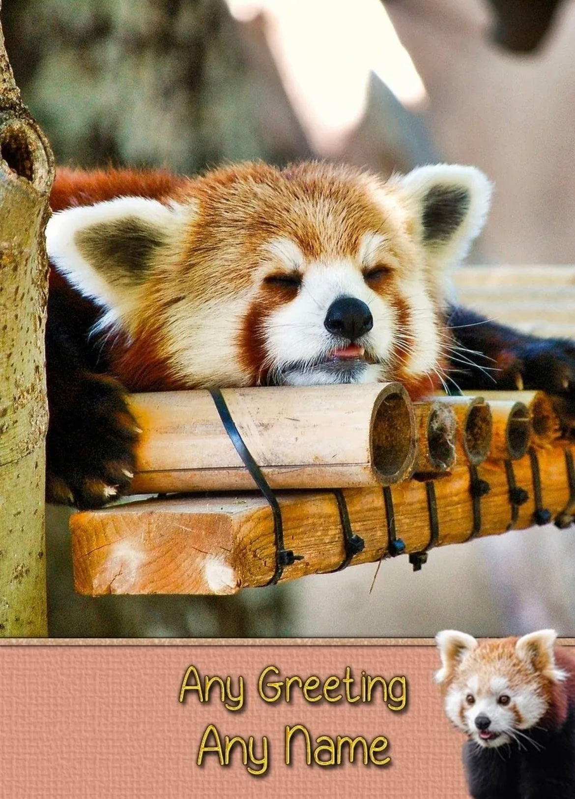 Personalised Sleeping Panda Greeting Card