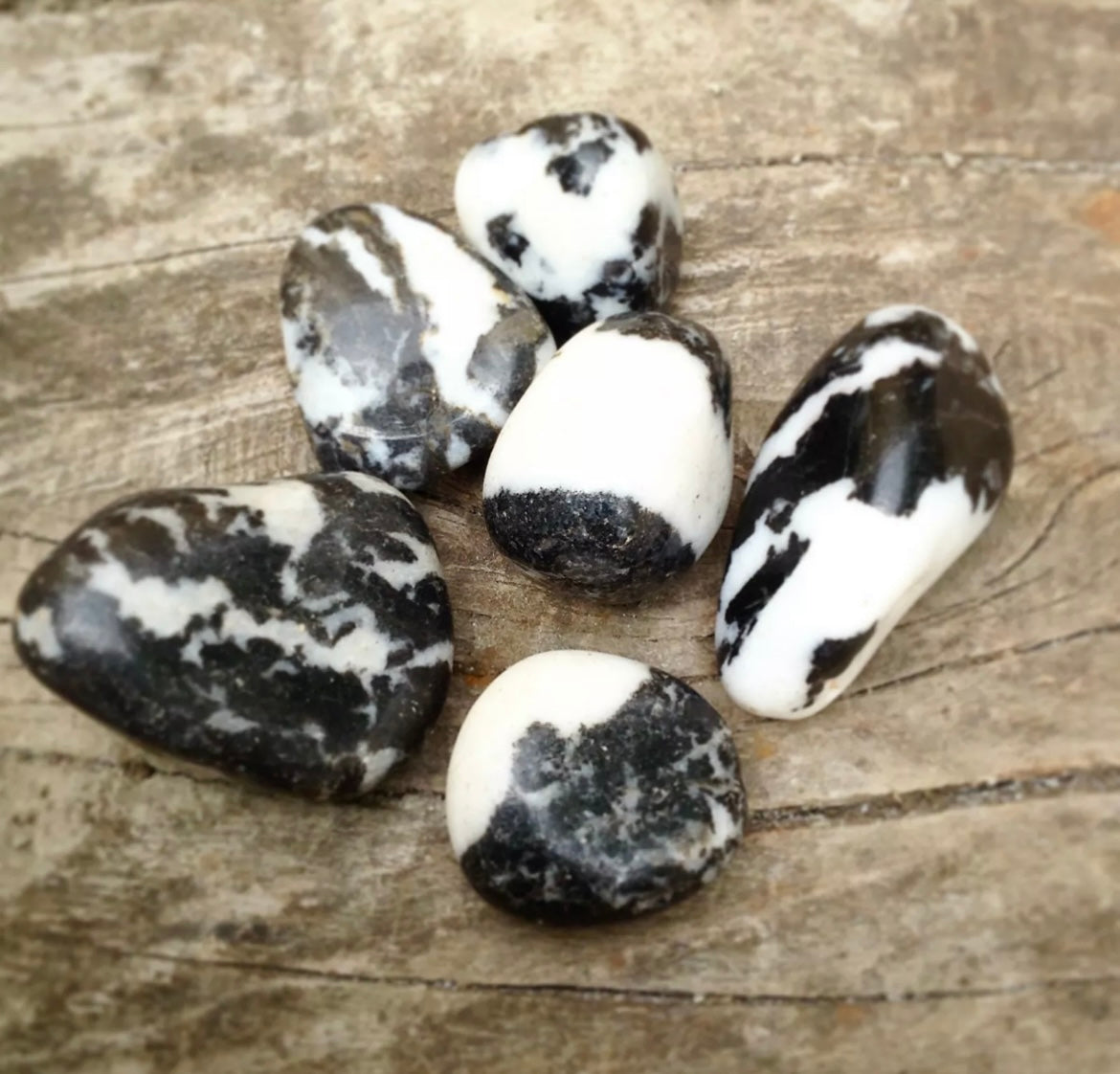 Zebra Marble Tumblestones