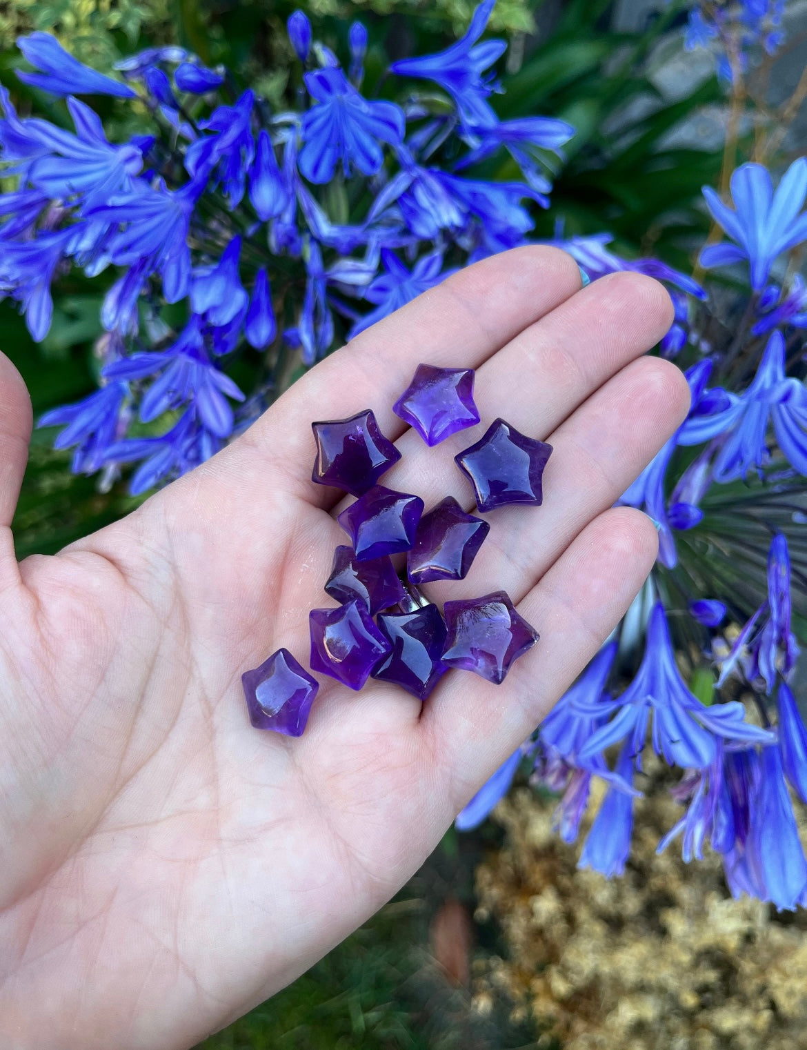 Amethyst Stars