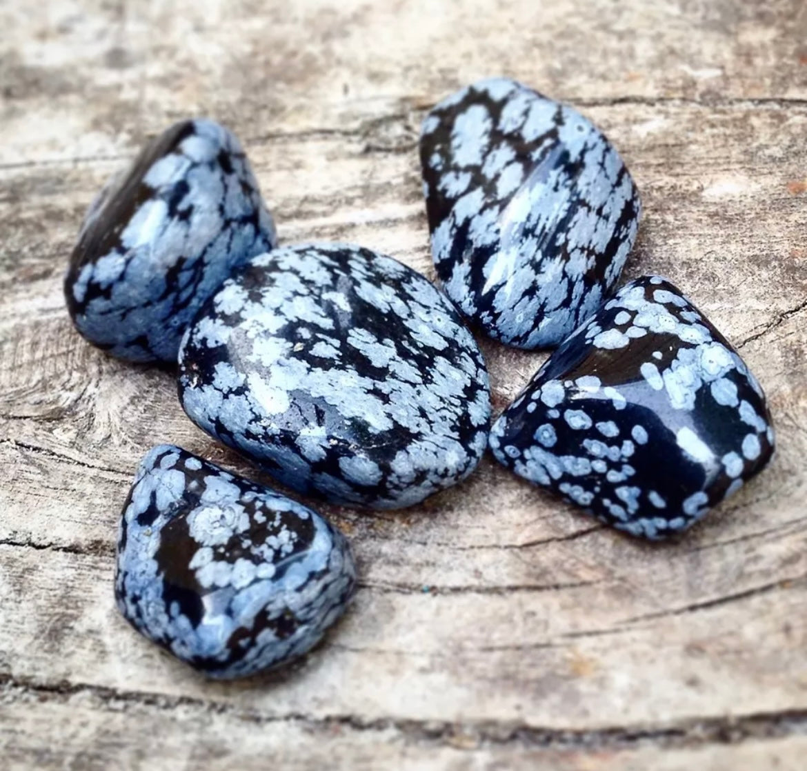 Obsidian Snowflake Tumblestones