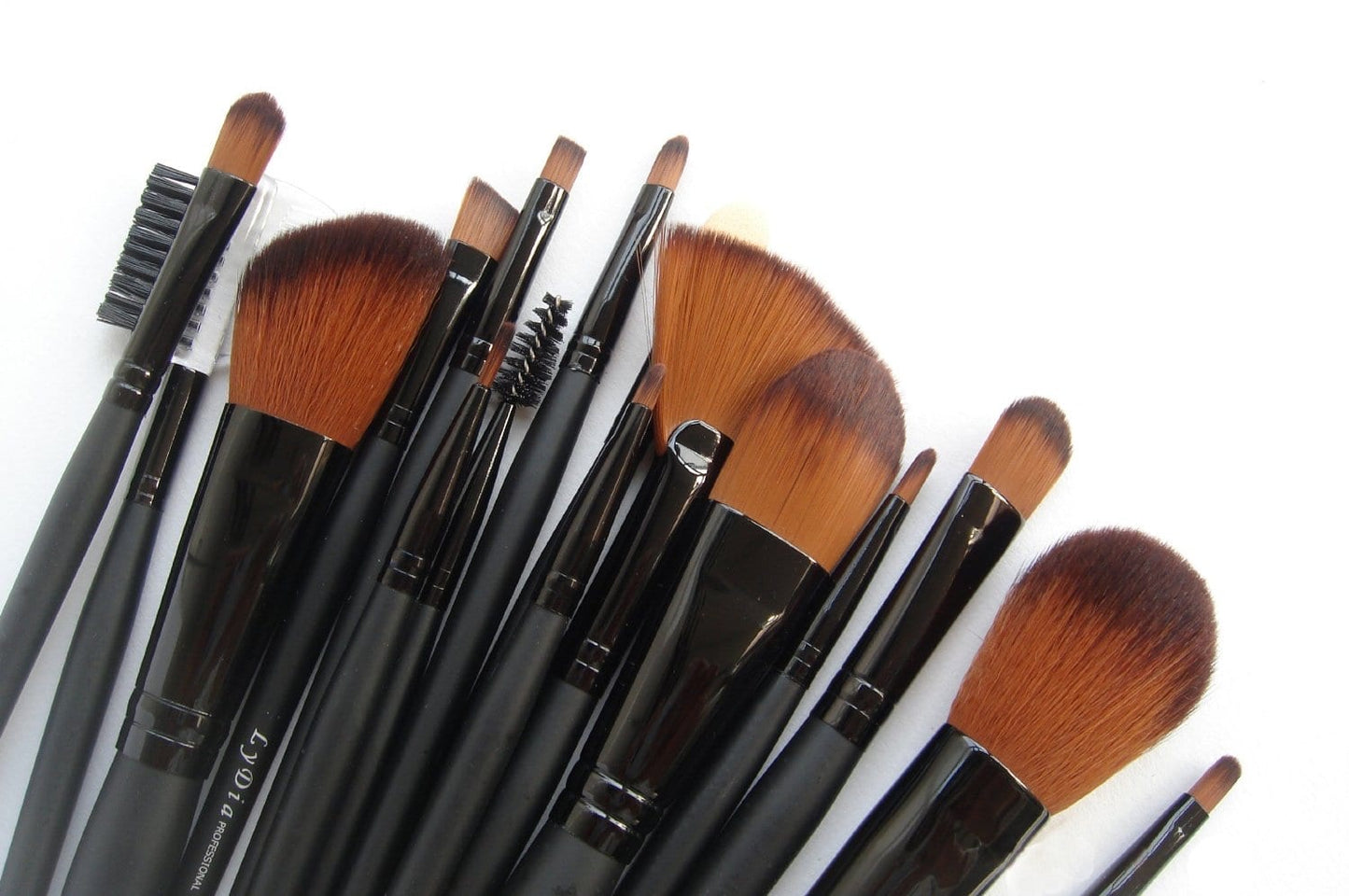 LyDia 16Pcs Black Makeup Brush Set With Case