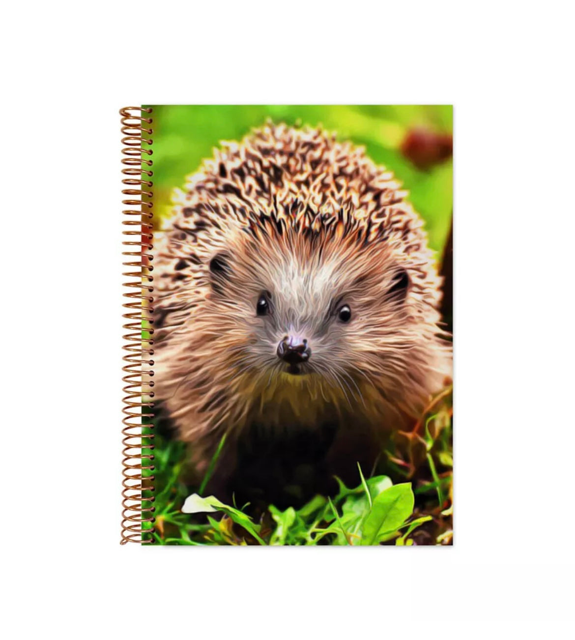 Hedgehog Notebook