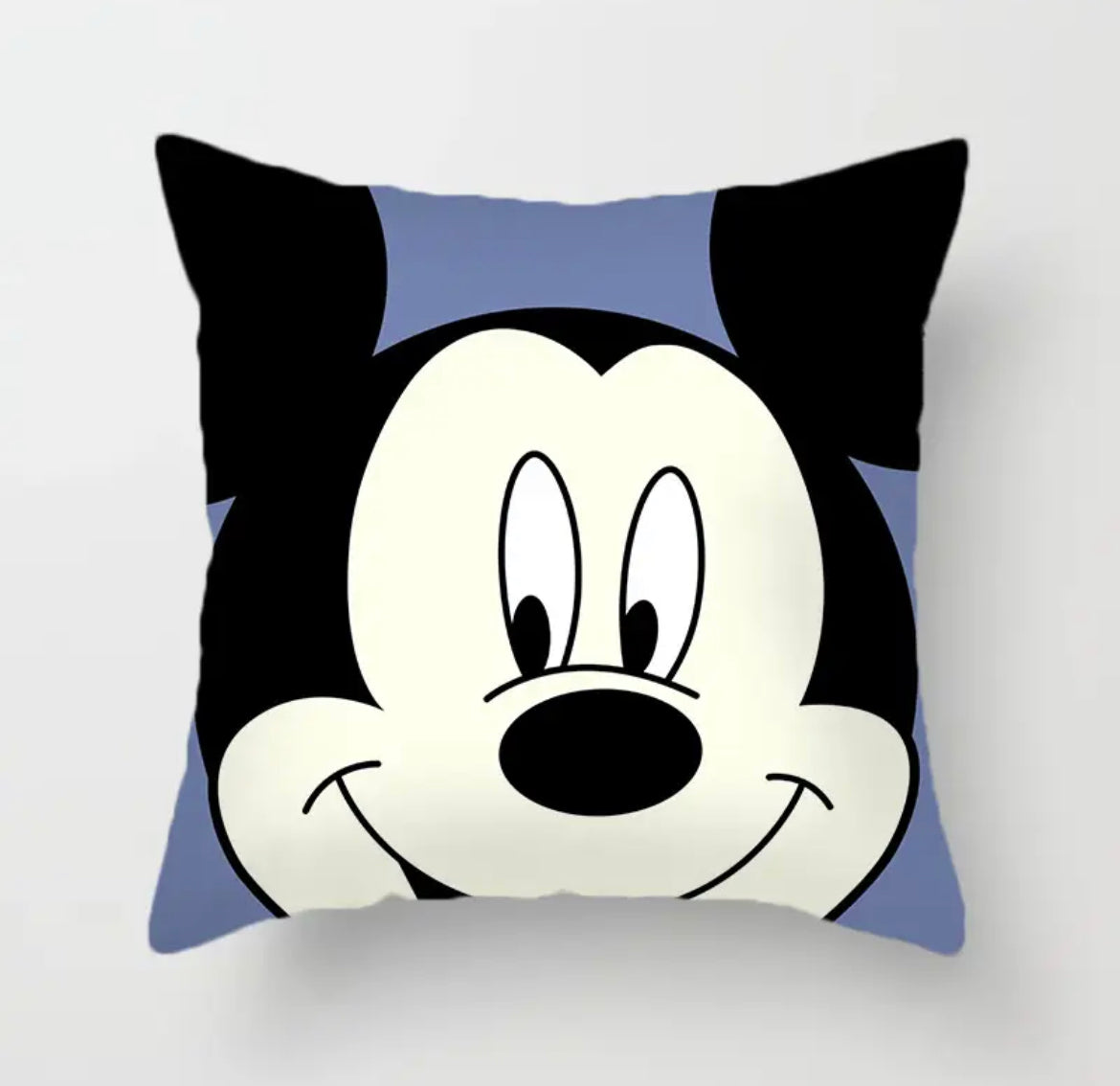 Disney Cushion Covers