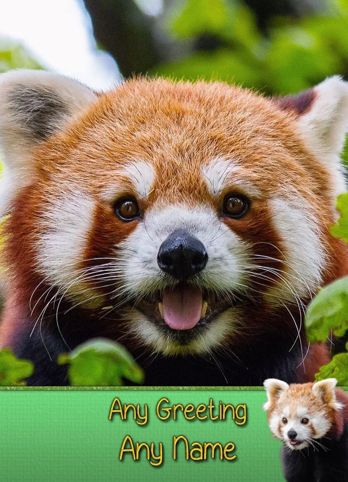 Personalised Happy Panda Greeting Card